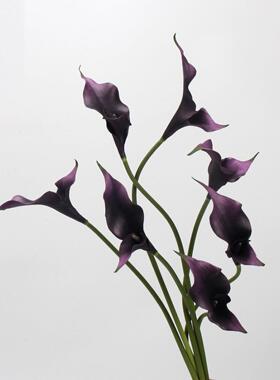 高端深紫色双端马蹄莲假花马蹄莲花人造花家居样板间装修婚礼