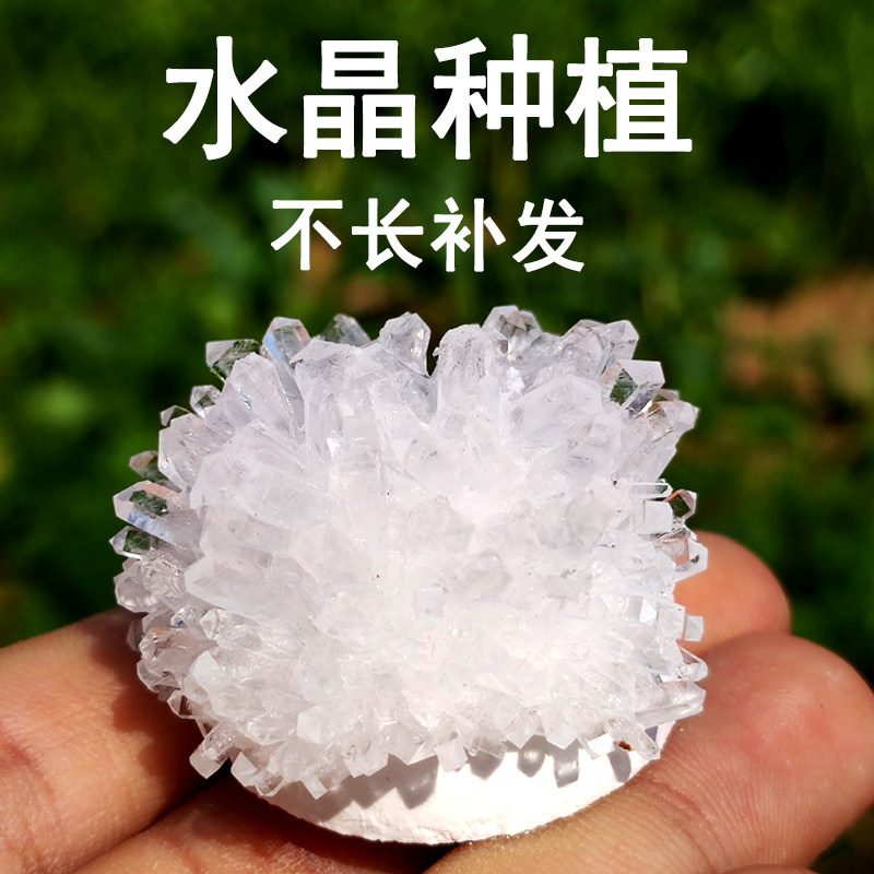 儿童种水晶生长种植宝石实验科学实验套装Steam教育玩具益智diy