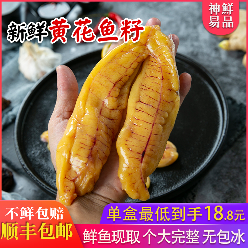 新鲜黄花鱼籽鱼子鲜鱼籽冷冻鱼黄花籽深海鱼蛋鱼卵大黄花鱼蛋2盒在类目 水产肉类/新鲜蔬果/熟食, 海鲜/水产品/制品, 鱼类制品, 花胶/鱼胶中 - 来自Buy2taobao.com提供专业的淘宝代购服务