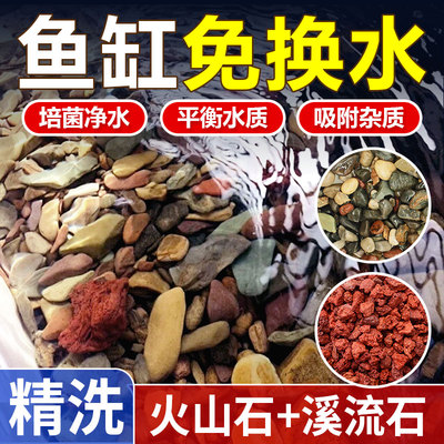 天然火山石溪流石鱼缸专用造景石头子垫底溪流缸底砂水草固定神器