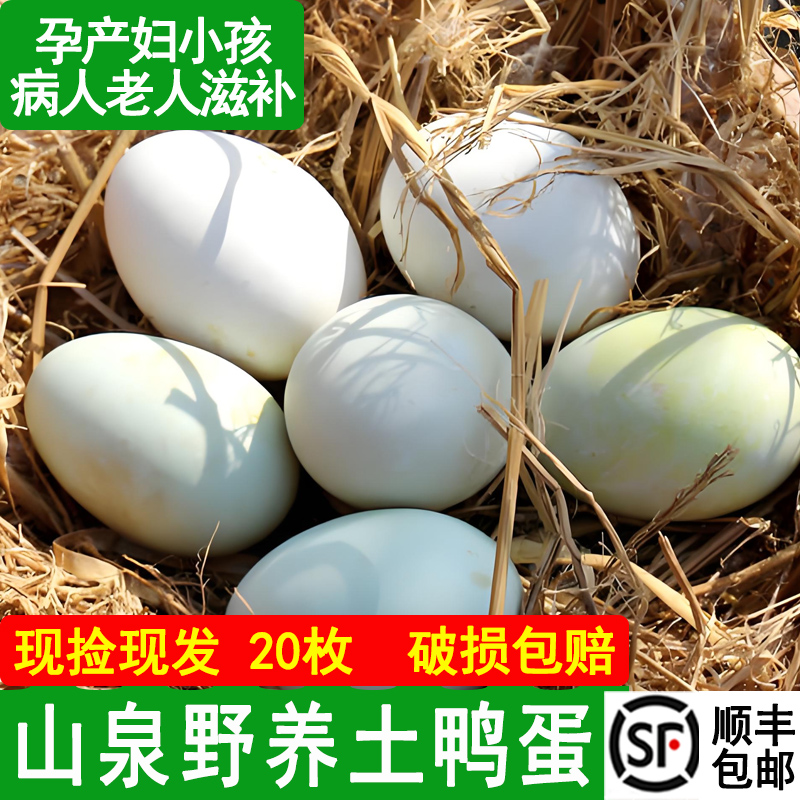 湖南土鸭蛋新鲜正宗散养土鲜鸭蛋农家散养鸭蛋发顺丰每枚65克以上