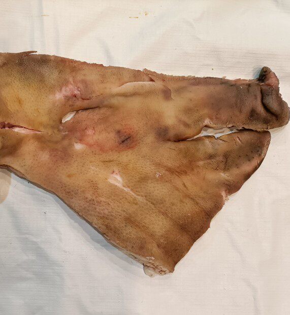 土山猪现杀猪脸肉猪头骨猪耳朵猪脑花猪脑猪肺猪脑髓猪头骨骨头