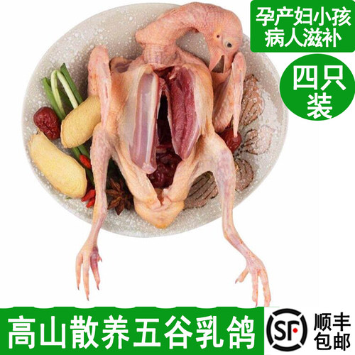 新鲜现杀农家放养4只乳鸽包邮