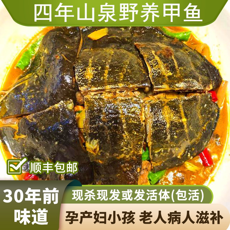 湖南甲鱼鲜活现杀生态野外中华老鳖汉寿活体甲鱼团鱼食用王八