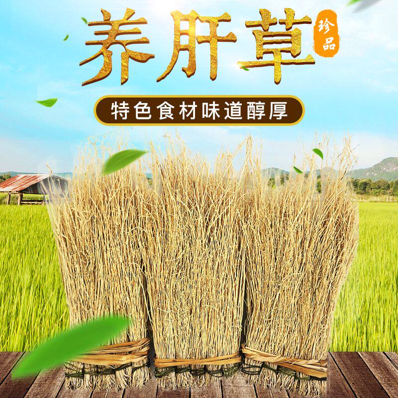 福建草药广东煲汤料养肝明目养肝草丝线根护肝草特色食材炖鸡养生