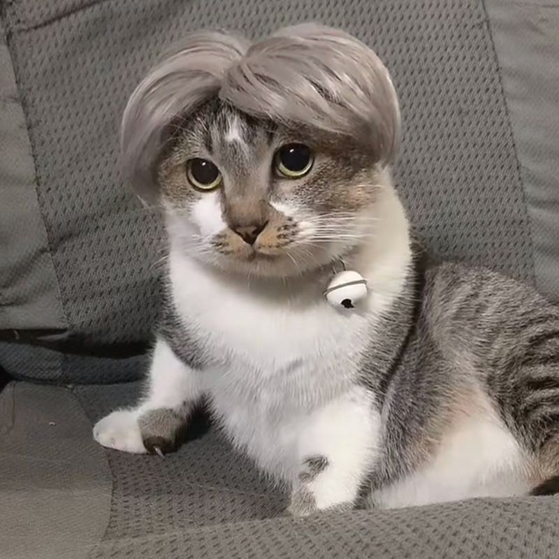 猫咪假发可爱变装头套头饰假发中分蔡徐坤ikun卖萌搞笑宠物帽子