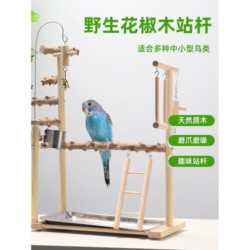 虎皮牡丹玄凤鹦鹉站架脚链爬梯磨爪实木站棍互动平台花椒木鸟站架
