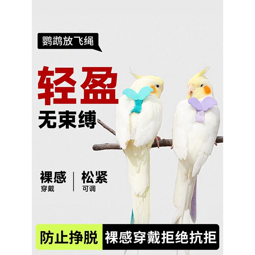 鹦鹉牵引绳外出放飞绳户外遛鸟神器玄凤牡丹超轻不伤脚背带小鸟