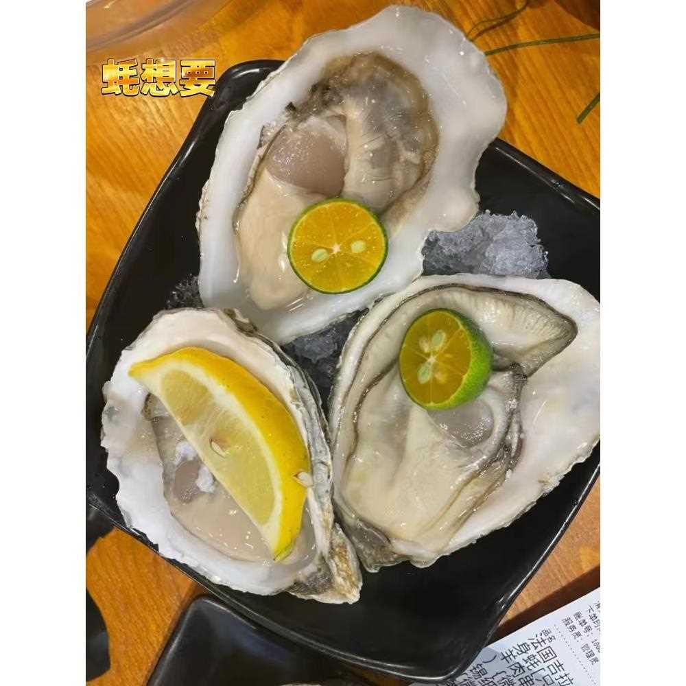 ll乳山生蚝特大即食新鲜活5斤整箱烧烤带壳海蛎子牡蛎海鲜贝类刺