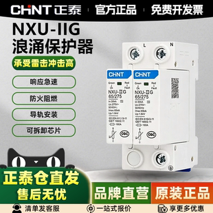 正泰浪涌保护器NXU电源防雷器2P电涌防雷开关220V家用4P避雷器3P