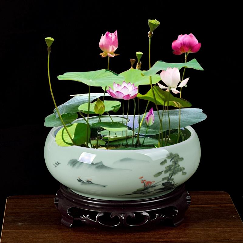 大号无孔碗莲盆水培铜钱草水仙专用花盆水培植物大口径陶瓷容器皿