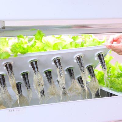 室内智能无土栽培设备阳台水培蔬菜立体种植机自动循环水耕栽培箱