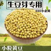 发豆芽专用小粒黄豆种子生黄豆芽豆做纳豆农家自种690小金黄5斤装