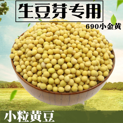 发豆芽专用小粒黄豆种子生黄豆芽豆做纳豆农家自种690小金黄5斤装