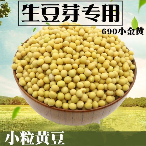 黄豆专用生黄豆芽发豆芽