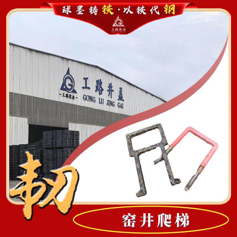 福建定制塑钢爬梯污水井爬梯踏步包塑爬梯市政检查井窑爬梯