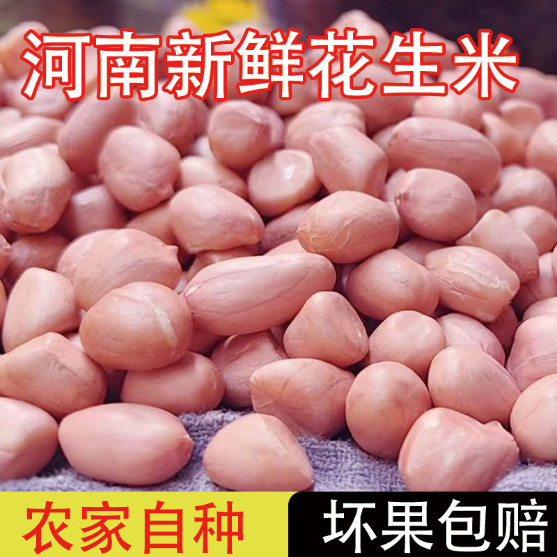 河南新鲜花生不带壳生白沙花生米农家自产新鲜花生仁晒干花生榨油