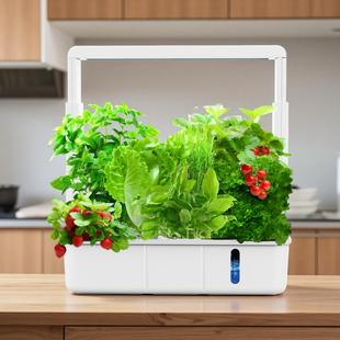 智能15孔水培种菜机 竹见品牌绿色种菜机 家庭无土水耕蔬菜设备