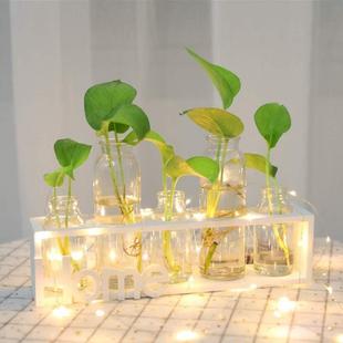 綠蘿水培客廳玻璃花瓶花盆清新植物辦公室插花擺件植物小容器桌面