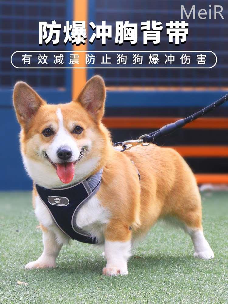 宠物狗狗胸背带背心式背带牵引绳柯基柴犬中型犬防爆冲遛狗绳项圈
