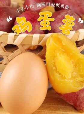 新挖天目鸡蛋果黄心红薯5斤装新鲜现挖板栗番薯农家精选鸡蛋薯