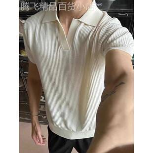 轻奢男士老钱风海鸥v领针织短袖t恤2025夏季薄款高级感半袖polo衫