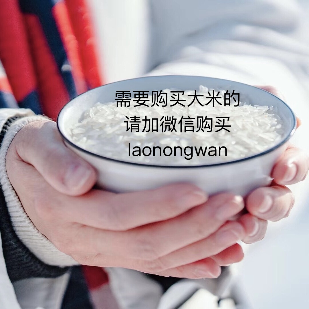 微信扫码购买 25年新米 老农湾 五常稻花香 5kg,粮油调味/速食/干货/烘焙,大米,淘宝优惠券,粉丝福利购,淘宝优惠卷