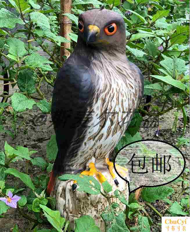 器园林摆件工艺品包邮花园果园树饰品塑料仿 真老鹰驱鸟吓鸟赶鸟|ruв категории доставка цветов/цветок моделирования/растения садоводства, садовых принадлежностей, других садовых принадлежностей - от Buy2taobao.com для оказания профессиональной услуги покупки агента Taobao