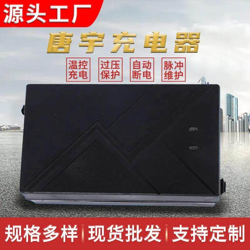 电动车充电器24v48v60v72v铅酸蓄电池过压保护唐宇高端电动车充电