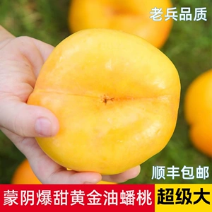 [黄油蟠桃当季黄金油蟠新鲜水果沂蒙山彩虹脆甜软桃蒙阴蜜桃大果]
