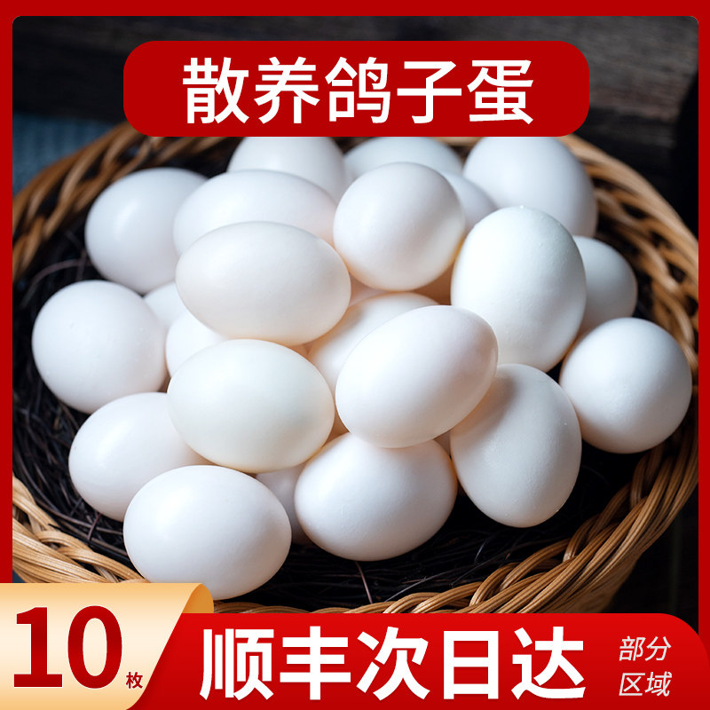 我老家新鲜鸽子蛋10枚山林散养土鸽蛋孕妇宝宝辅食白鸽蛋顺丰包邮