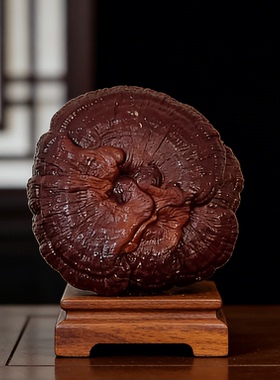 天然大灵芝中式高档摆件送礼