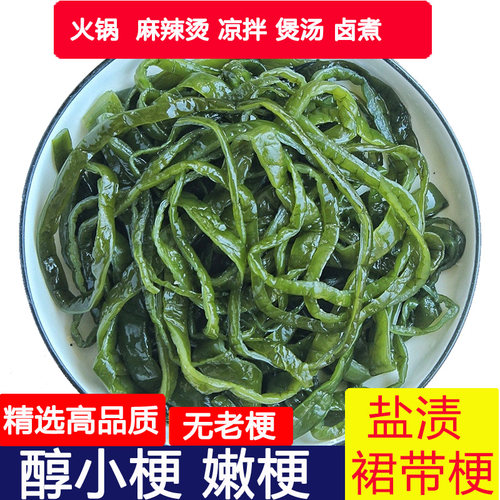 新鲜裙带梗盐渍海白菜嫩梗