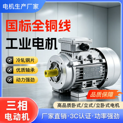 三相380V全铜线铝壳微型减速电机