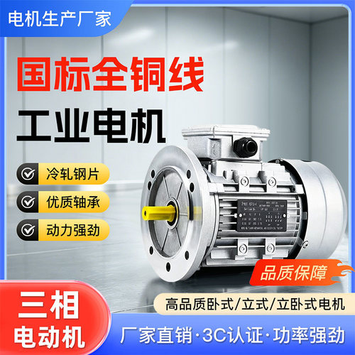 三相380V全铜线铝壳微型减速电机