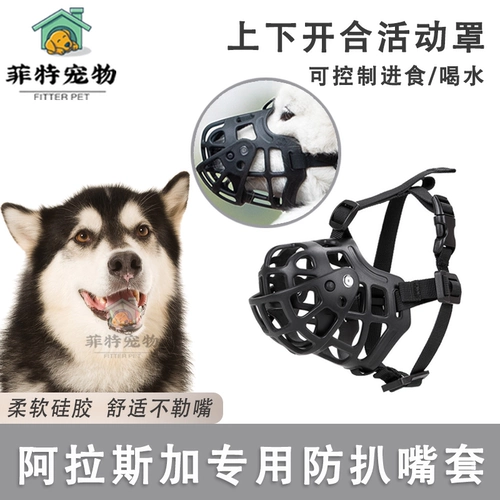 Аляска собачья во рту покрывает рот.