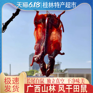 广西特产大山风干田鼠原切腊味农家自制风干田鼠腊鼠自然风干稻草