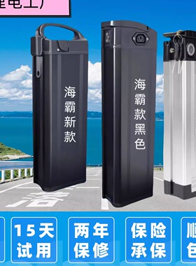 折叠代驾电动车锂电池48V卡丁车电池60V海霸银鱼大容量通用电池