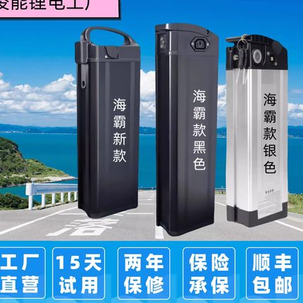 折叠代驾电动车锂电池48V卡丁车电池60V海霸银鱼大容量通用电池
