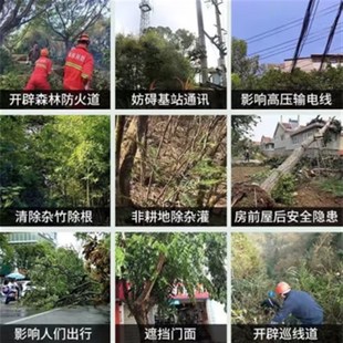 优选强力烂大树枯烂根大树烂根剂烂树粉大树竹子杂草灌Z木腐蚀根.