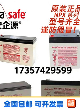 美国DATASAFE蓄电池NPX系列NPX24-12/25-12/35-12/50-6全型号