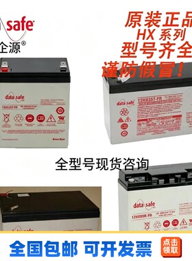 美国DATASAFE蓄电池HX系列12HX25/35/50/80/100S/105全型号仓