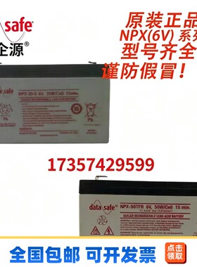 美国DATASAFE蓄电池NPX(6V)系列NPX-35-6/NPX-50全型号仓