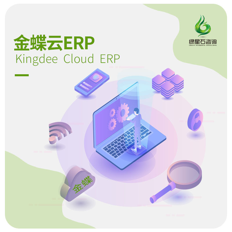 金蝶云星空云软件 管易云财务软件管理软件实施集团管控预算ERP