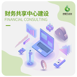 财务共享中心建设优化财务架构财务设计财务公司财务咨询顾问题