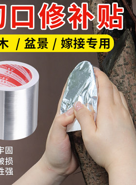 树木伤口愈合锡纸植物盆景专用
