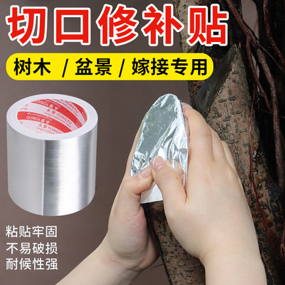 树木伤口愈合锡纸植物盆景专用