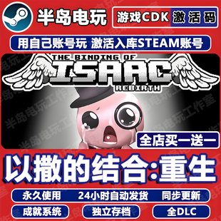 以撒 CDKEY入库全DLC忏悔胎衣全球国区游戏 结合重生Steam激活码
