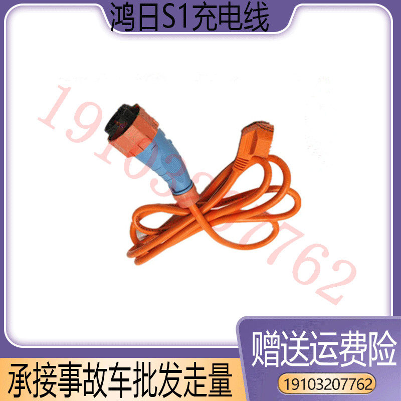 适配雷丁D50宝路达DS5比德文M6四轮电动汽车配件充电插头充电线枪