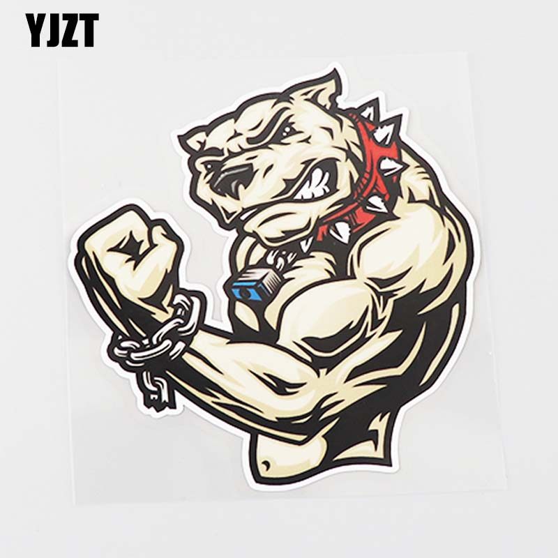 yjzt 汽车斗牛犬肌肉狗狗搞笑卡通装饰防水保险杠车贴 cs1142